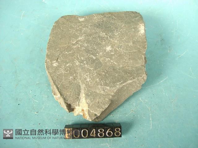 粉砂岩藏品圖，第3張