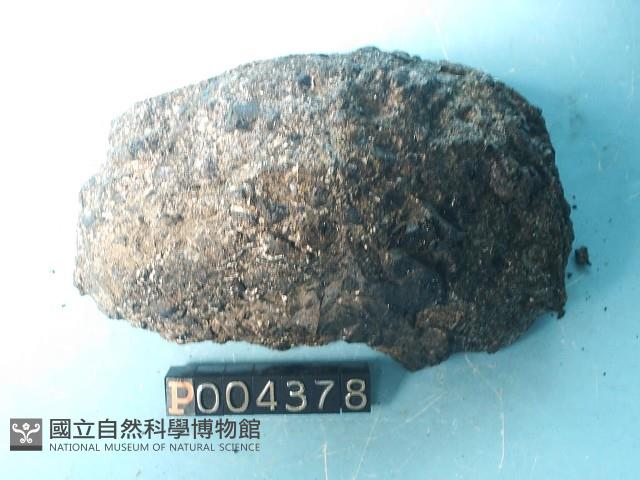 玻璃質玄武岩藏品圖，第2張