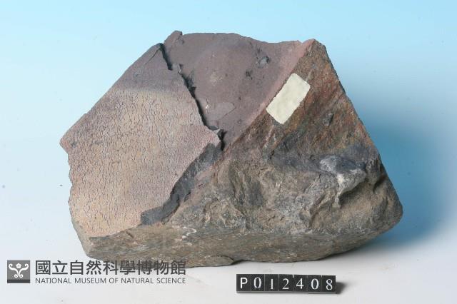 冰磧岩藏品圖，第5張