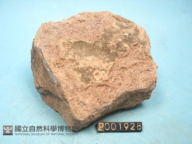 火山碎屑岩藏品圖，第2張