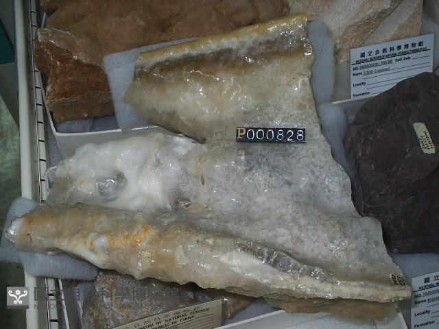鐘乳石藏品圖，第4張