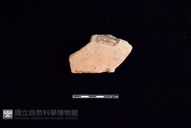 連杯形器藏品圖，第1張