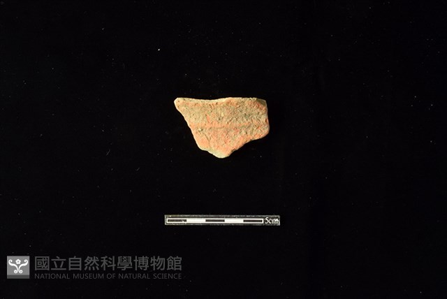 陶罐藏品圖，第1張
