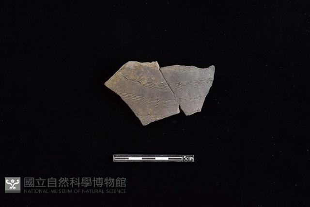 陶片藏品圖，第1張