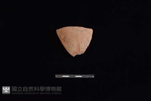 陶片藏品圖，第1張