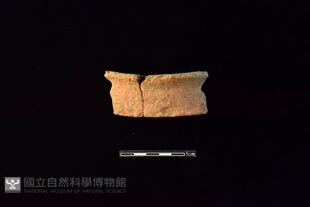 陶片藏品圖，第1張