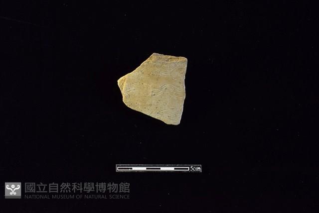 Accession Number:HLL-D PT2592 Collection Image, Figure 1, Total 2 Figures