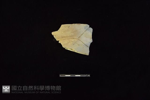 陶罐藏品圖，第1張