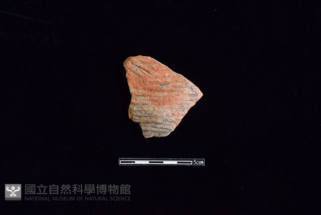 陶片藏品圖，第1張