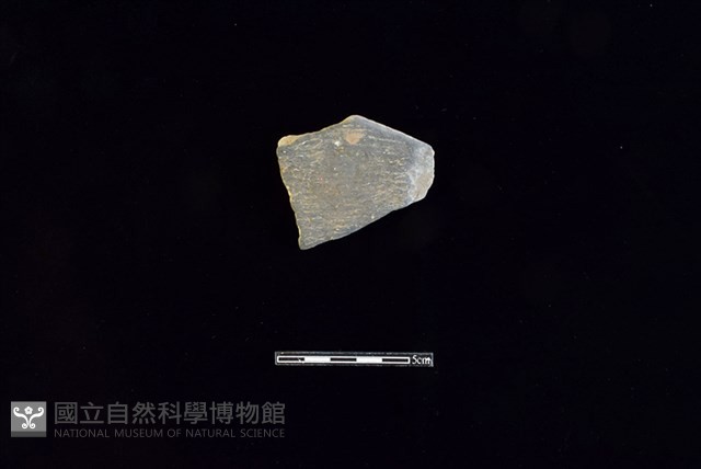 陶片藏品圖，第1張