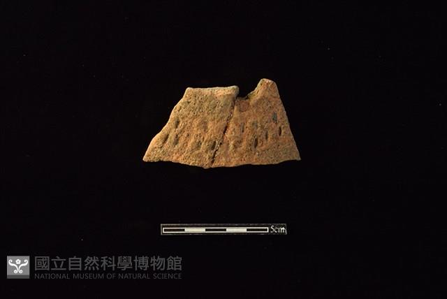 陶片藏品圖，第1張