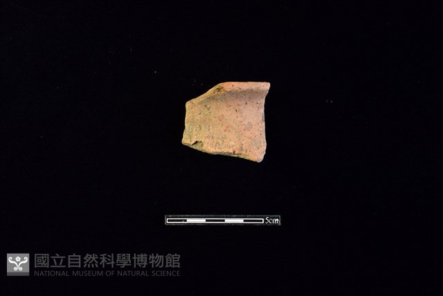 陶片藏品圖，第1張