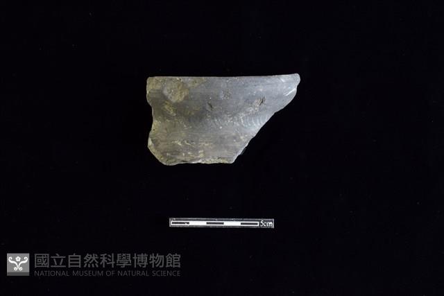 陶罐藏品圖，第1張