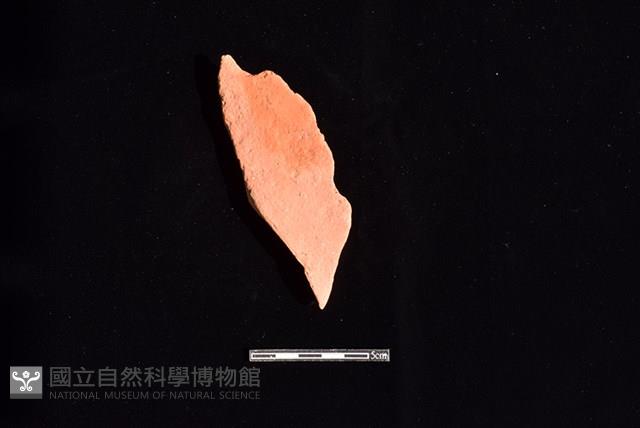 連杯形器藏品圖，第1張