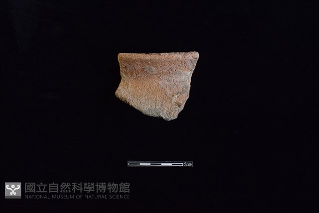 陶罐藏品圖，第1張