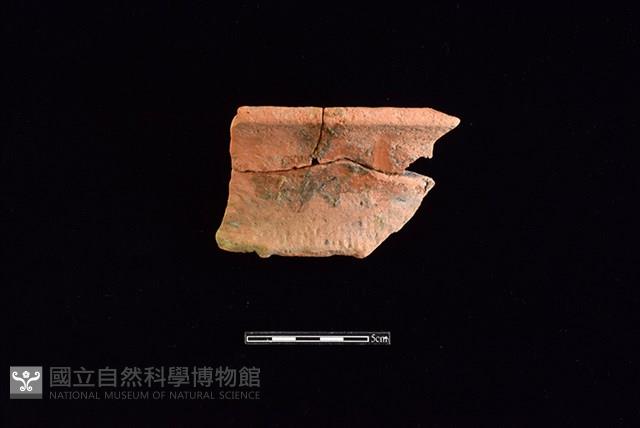 陶罐藏品圖，第1張