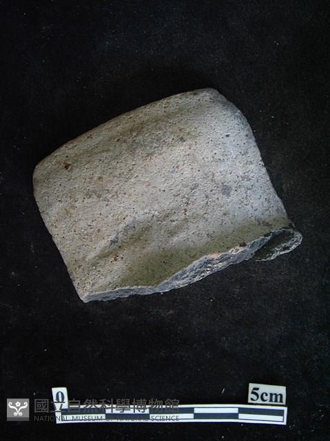 陶片藏品圖，第1張