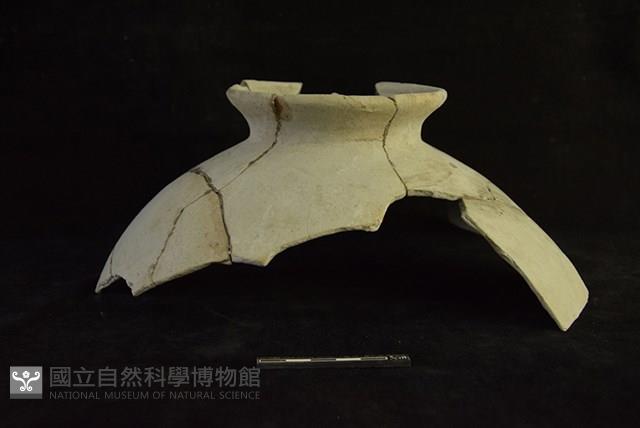 陶罐藏品圖，第1張