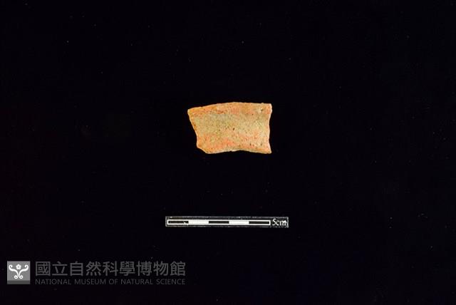 陶罐藏品圖，第1張