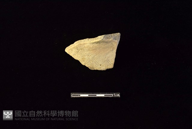 陶罐藏品圖，第1張