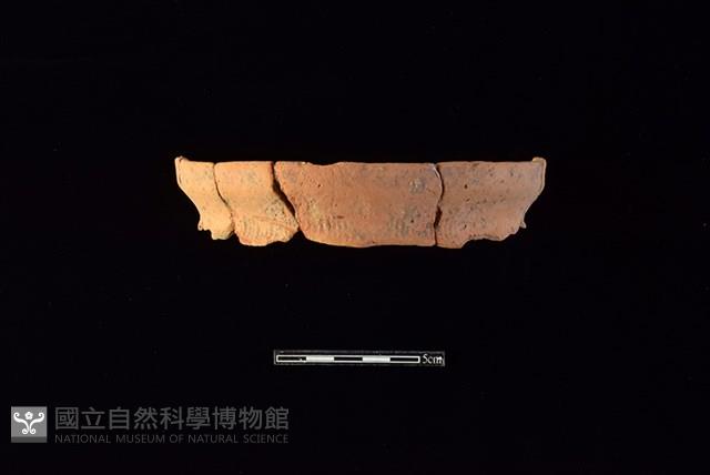 陶罐藏品圖，第1張