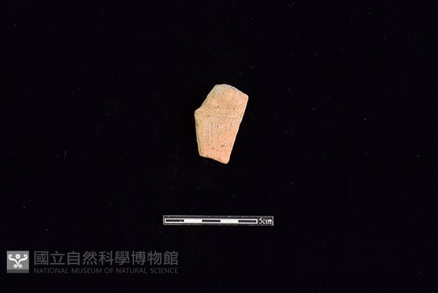 陶片藏品圖，第1張