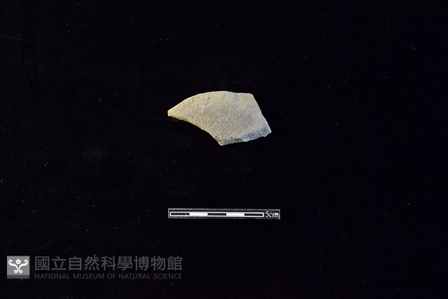 陶片藏品圖，第1張