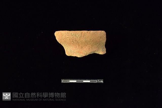 陶罐藏品圖，第1張