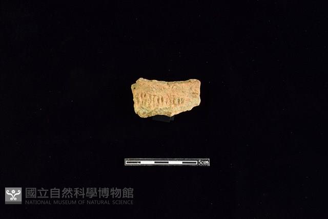 陶罐藏品圖，第1張