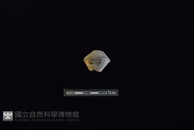 陶紡輪藏品圖，第1張