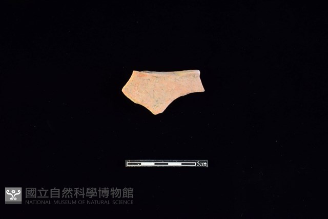 連杯形器藏品圖，第1張