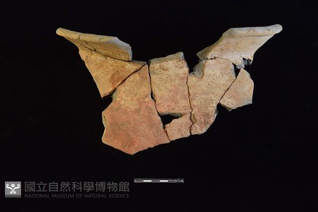 陶罐藏品圖，第1張