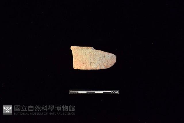 陶片藏品圖，第1張