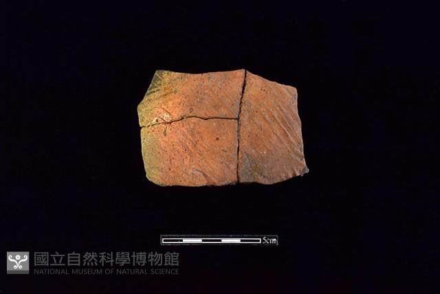 陶片藏品圖，第1張