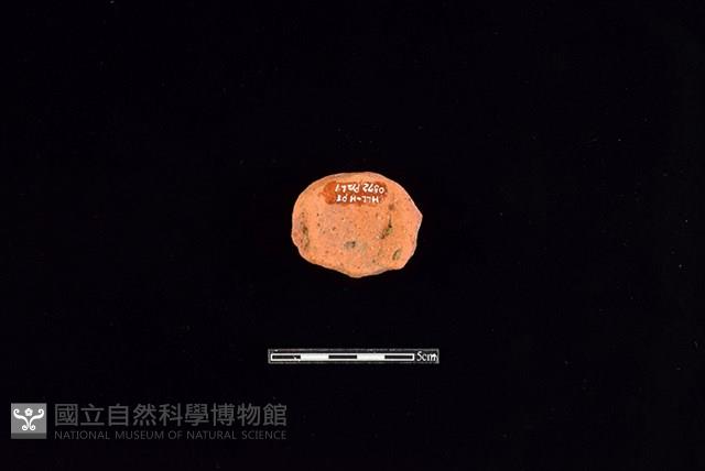 陶片藏品圖，第1張