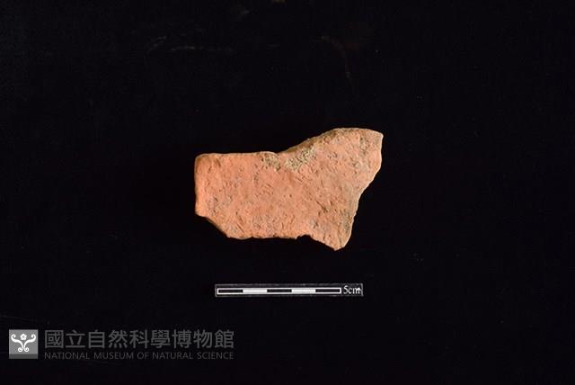 連杯形器藏品圖，第1張