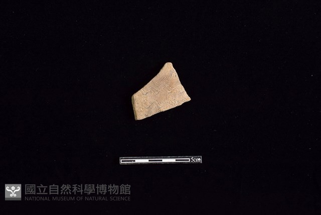 陶片藏品圖，第1張