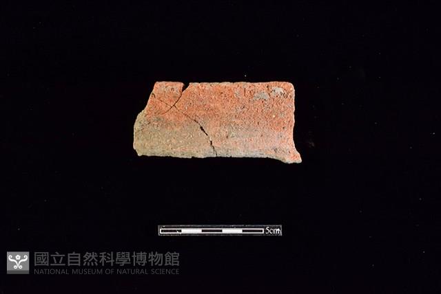 陶罐藏品圖，第1張