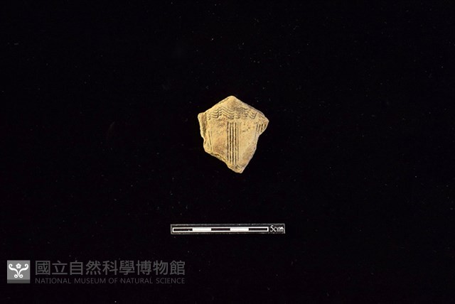 陶片藏品圖，第1張