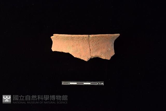 陶罐藏品圖，第1張