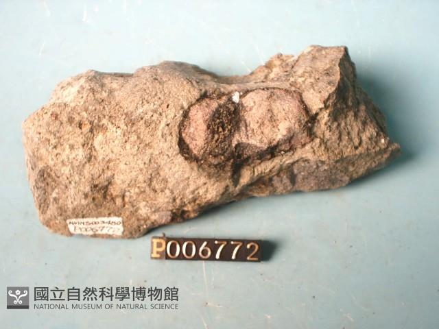 輝石安山岩藏品圖，第4張