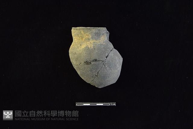 陶罐藏品圖，第1張