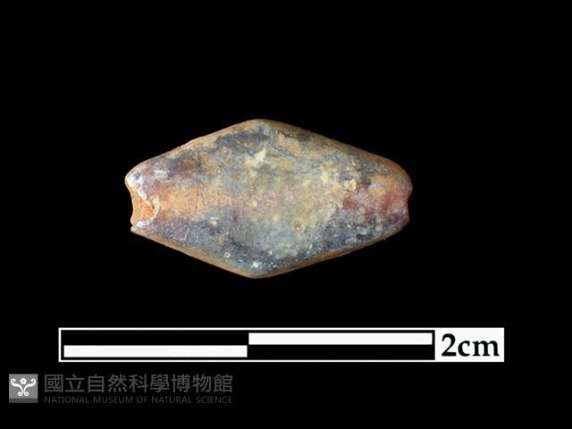 玻璃珠藏品圖，第1張