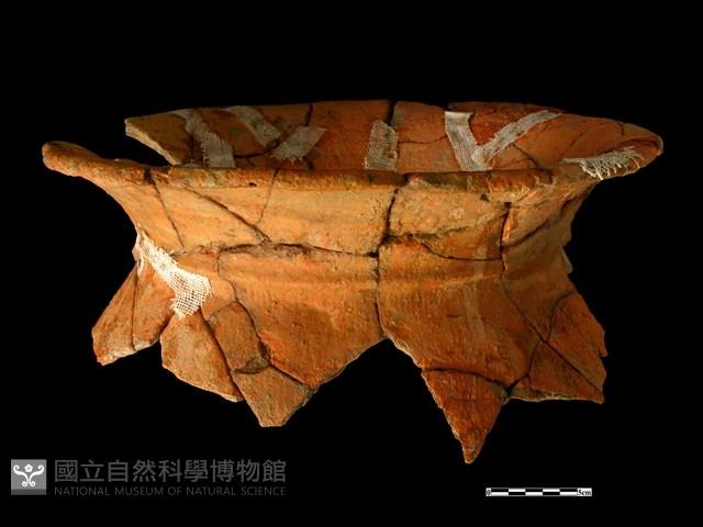 陶罐藏品圖，第1張