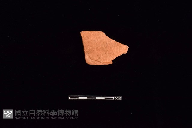 陶片藏品圖，第1張