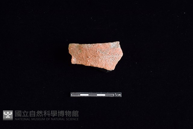 陶片藏品圖，第1張