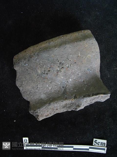 陶片藏品圖，第1張