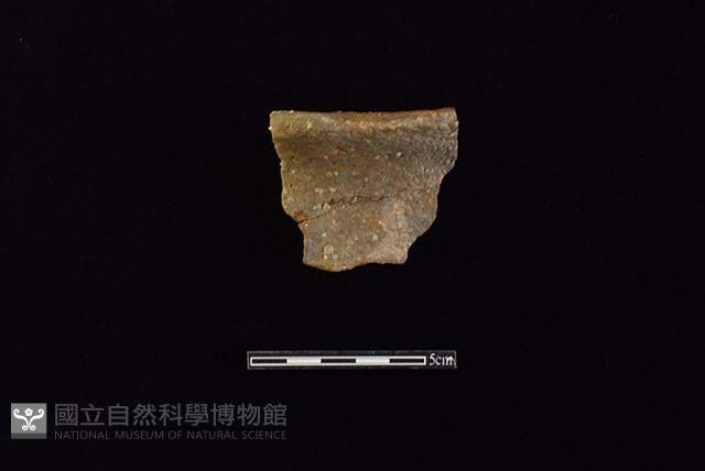 陶片藏品圖，第1張