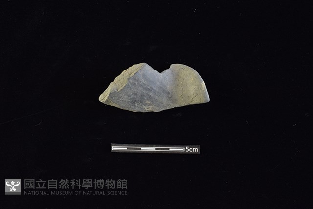 陶片藏品圖，第1張