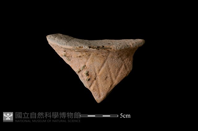 陶片藏品圖，第1張